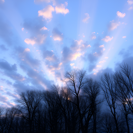 Lofty Skies