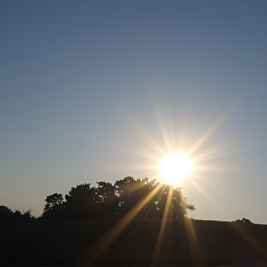 Sun Sparks