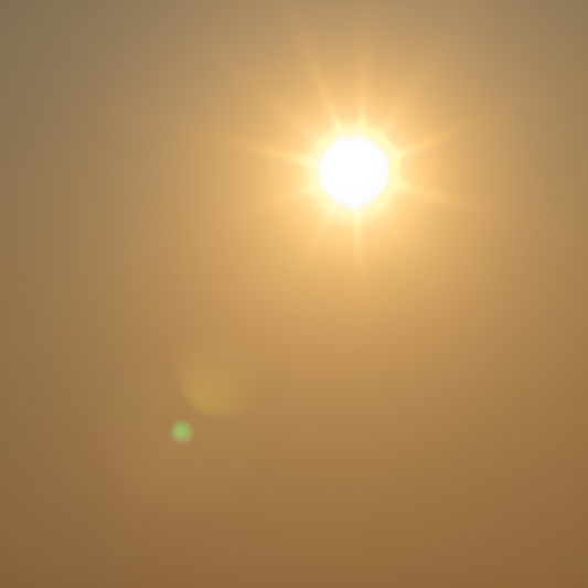 Sunny Spark