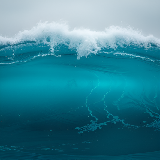 Wave Dancer